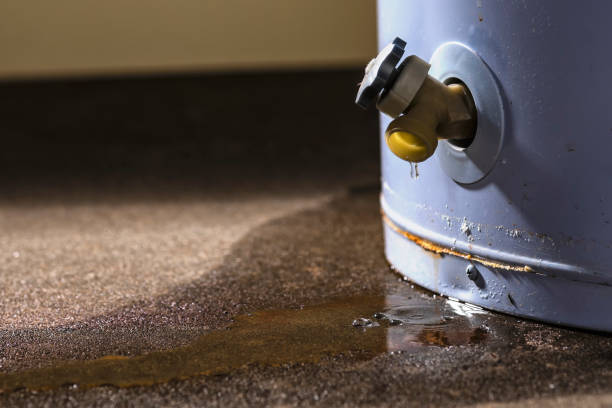 Best Basement water damage restoration  in Mountain View, NC