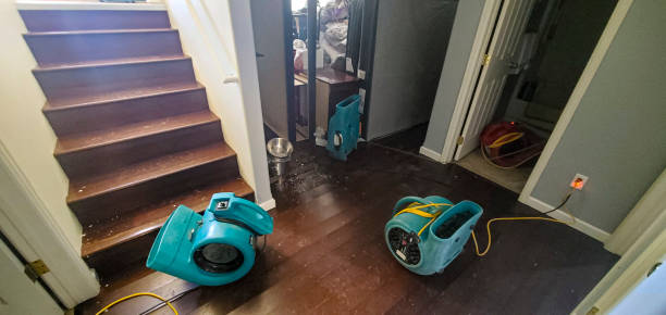 Best Ceiling water damage repair  in Mountain View, NC