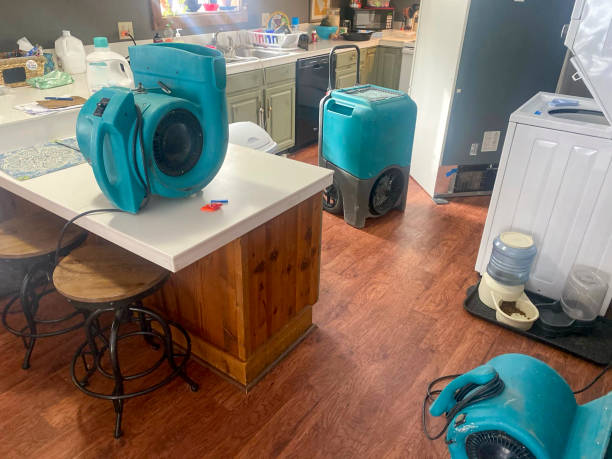 Best Fire Damage Restoration  in Mountain View, NC