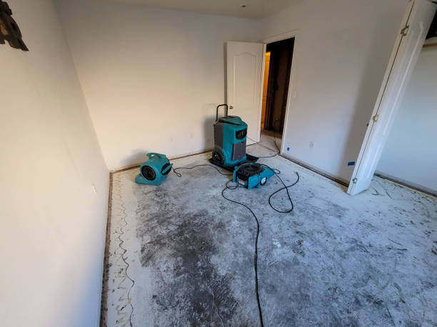  Mountain View, NC Water damage restoration Pros