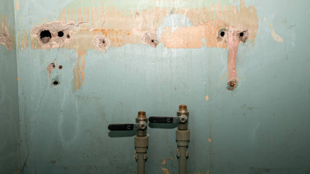 Best Flooded house restoration  in Mountain View, NC