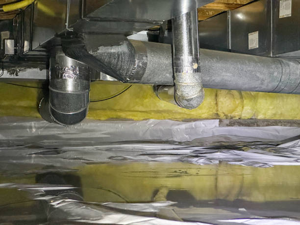 Best Water damage cleanup near me  in Mountain View, NC