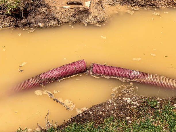 Best Emergency water damage restoration  in Mountain View, NC